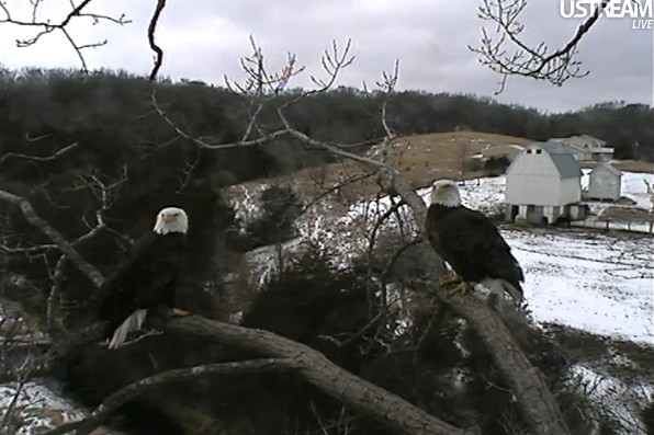 ScreenHunter_39 Feb. 21 11.18.jpg